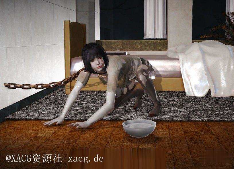 29070539500